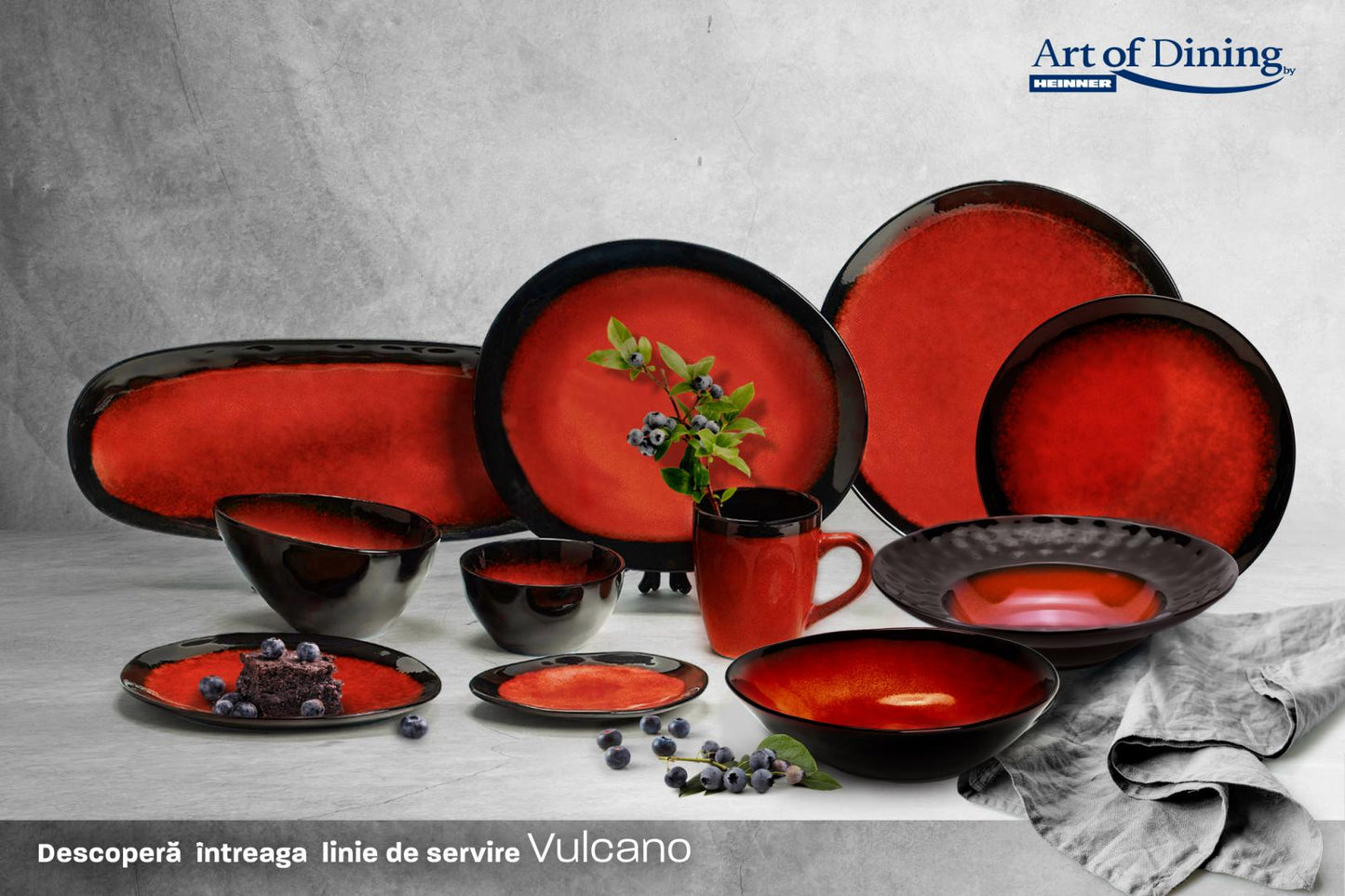 SET 4X FARFURIE OVALA CERAMICA 21 CM, VULCANO, ART OF DINING BY HEINNER